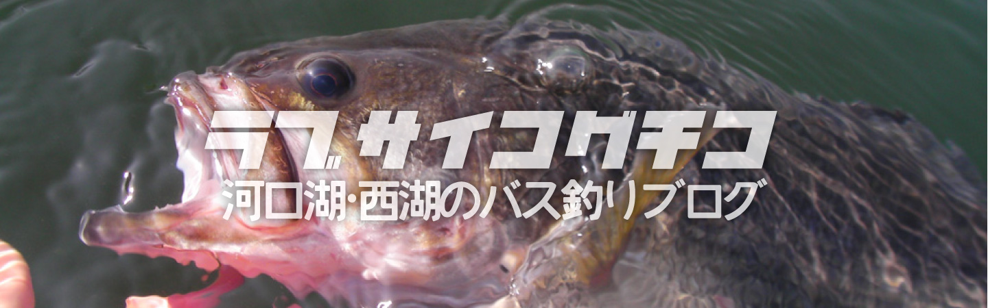 ラブ！サイコグチコ～河口湖・西湖のバス釣りブログ